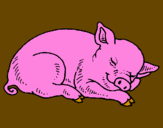 Desenho Porco a dormir pintado por Rhuan Diego