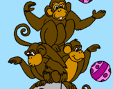 Desenho Macacos a fazer malabarismos pintado por Sandra Pais