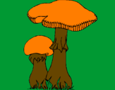 Desenho Cogumelos pintado por natalia