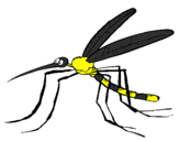 Desenho Mosquito pintado por alice gabrielly