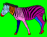 Desenho Zebra pintado por erick