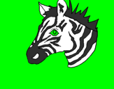Desenho Zebra II pintado por vitoria penha