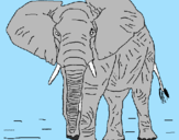 Desenho Elefante pintado por patrick
