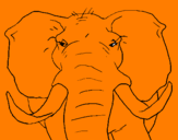 Desenho Elefante africano pintado por joão pedro