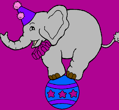 Elefante em cima de uma bola