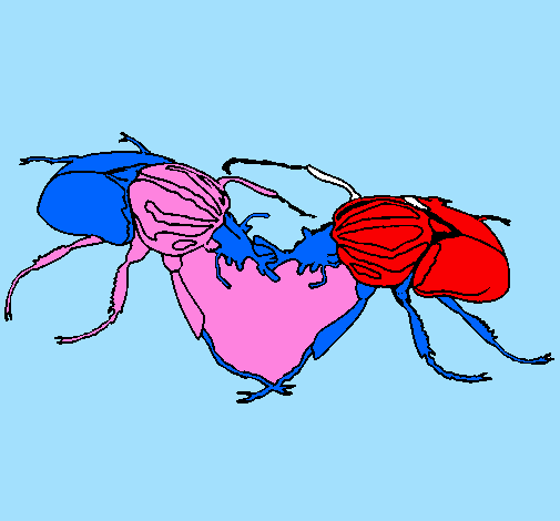 Escaravelhos