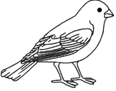 Desenho Pardal pintado por aves