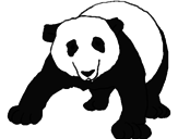 Desenho Urso panda pintado por alexandra