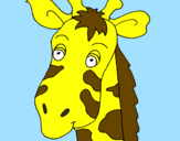 Desenho Cara de girafa pintado por thuco