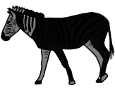Desenho Zebra pintado por kenia