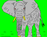 Desenho Elefante pintado por fernnando