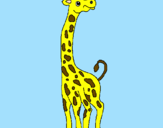 Desenho Girafa pintado por thuco