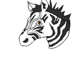 Desenho Zebra II pintado por nayaraaa siilva