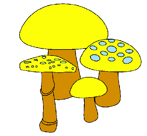 Desenho Cogumelos pintado por OS  CARAMELOS