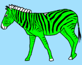 Desenho Zebra pintado por pedro