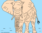 Desenho Elefante pintado por pedro