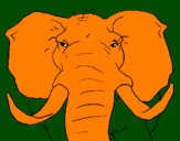 Desenho Elefante africano pintado por h