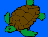 Desenho Tartaruga pintado por jv