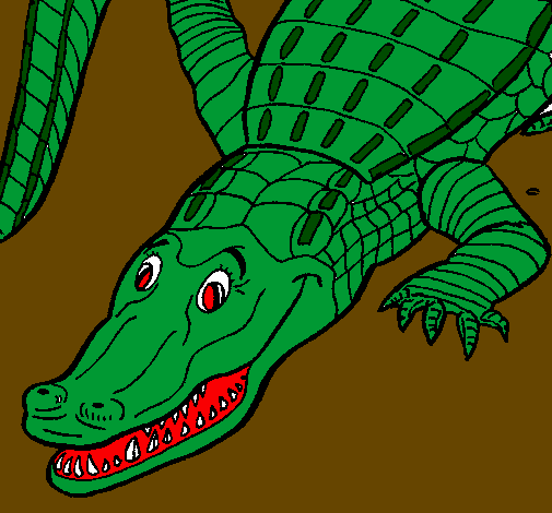 Crocodilo 