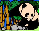 Desenho Urso panda e bambu pintado por Ryuu