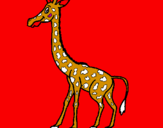 Desenho Girafa pintado por guilherme