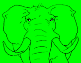 Desenho Elefante africano pintado por dudu