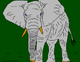 Desenho Elefante pintado por Ryuu