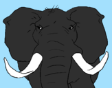 Desenho Elefante africano pintado por gustavo 