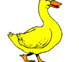 Desenho Pato pintado por pato