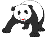 Desenho Urso panda pintado por verinha