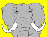 Desenho Elefante africano pintado por ANDRÉ LUIZ