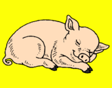 Desenho Porco a dormir pintado por airton