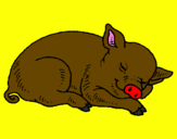 Desenho Porco a dormir pintado por m luisa