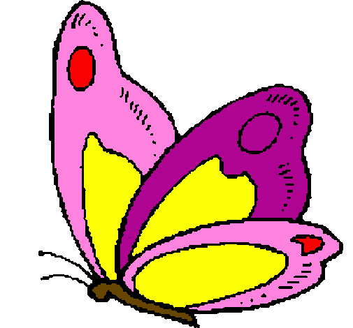 Desenho de Borboleta pintado e colorido por Usuário não registrado o dia 30  de Junho do 2010