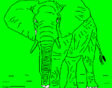 Desenho Elefante pintado por dudu
