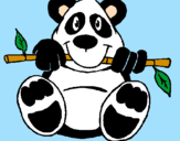 Desenho Urso panda pintado por thuco