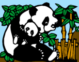 Desenho Mamã panda pintado por ANDRÉ LUIZ