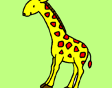 Desenho Girafa pintado por nadim45