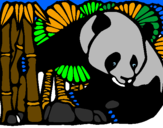 Desenho Urso panda e bambu pintado por thays