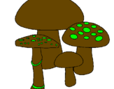 Desenho Cogumelos pintado por sany
