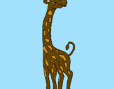 Desenho Girafa pintado por vinicius vicente