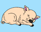Desenho Porco a dormir pintado por Larissa Bocci