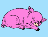 Desenho Porco a dormir pintado por giulia.l.v