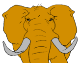 Desenho Elefante africano pintado por JOÃO FELIPE