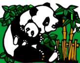 Desenho Mamã panda pintado por neia.