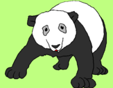 Desenho Urso panda pintado por Larissa  Akemi