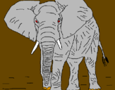 Desenho Elefante pintado por lybni