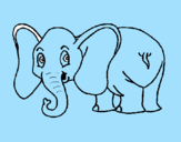 Desenho Elefante pequeno pintado por Dudinha