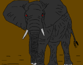 Desenho Elefante pintado por iago herinrique