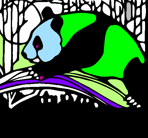 Urso panda a comer